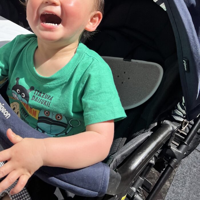 ベビーカーに乗ってニコニコ笑顔の1歳7ヶ月のこども