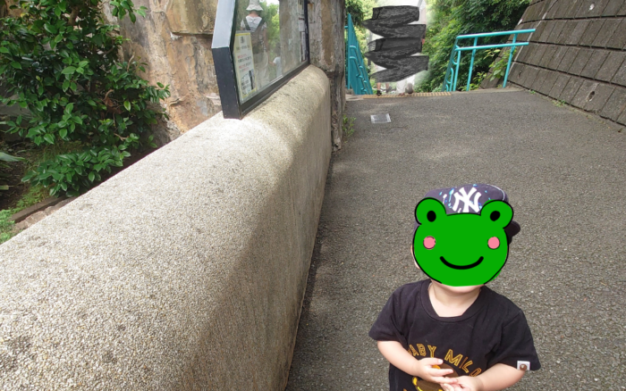 野毛山動物園を歩く1歳児