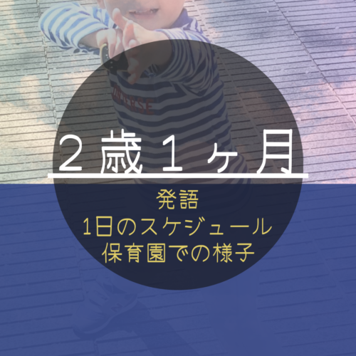 ２歳１ヶ月のこどもの１日のスケジュール